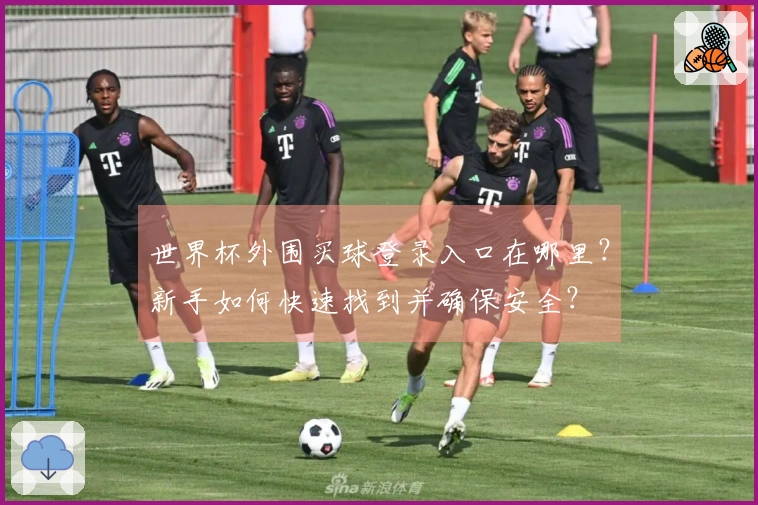 世界杯外围买球登录入口在哪里？新手如何快速找到并确保安全？