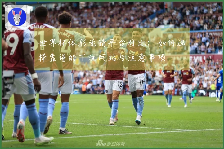 世界杯体彩竞猜平台对比：如何选择靠谱的下注网站与注意事项