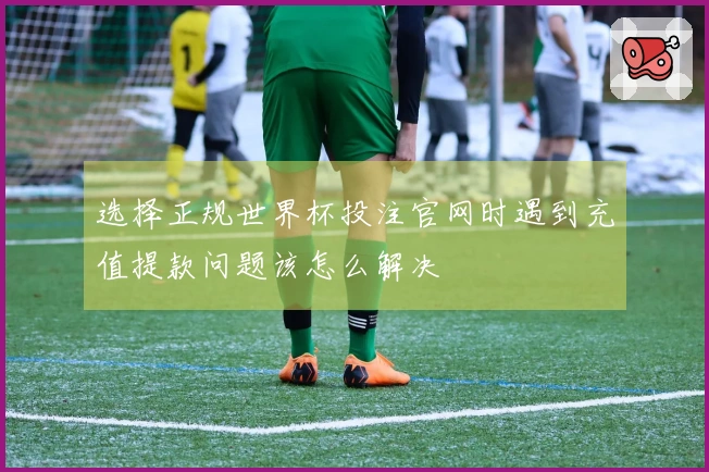 选择正规世界杯投注官网时遇到充值提款问题该怎么解决