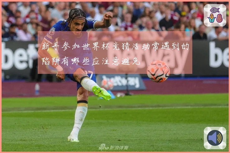 新手参加世界杯竞猜活动常遇到的陷阱有哪些应注意避免