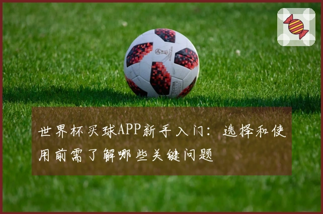 必赢体育资讯图片
