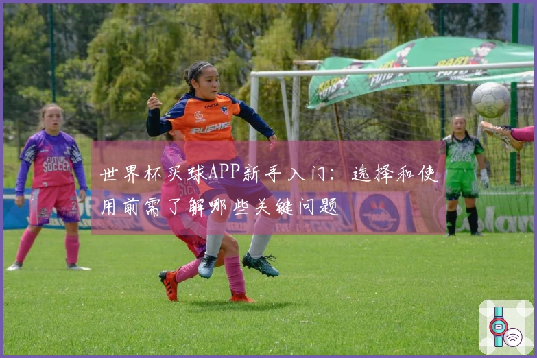 世界杯买球APP新手入门：选择和使用前需了解哪些关键问题