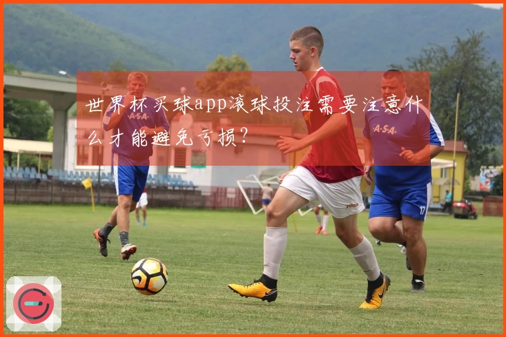 世界杯买球app滚球投注需要注意什么才能避免亏损？