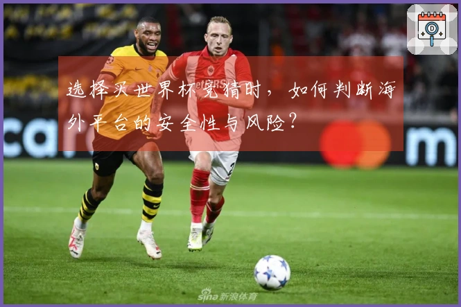 必赢体育资讯图片