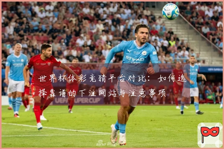 世界杯体彩竞猜平台对比：如何选择靠谱的下注网站与注意事项