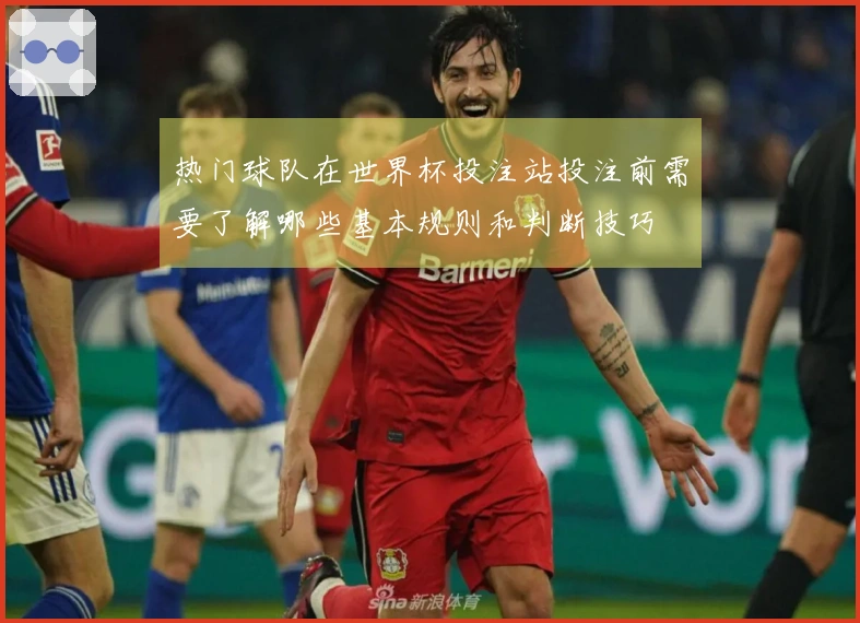 热门球队在世界杯投注站投注前需要了解哪些基本规则和判断技巧